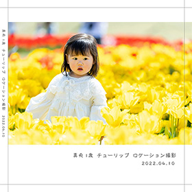 アルバムレイアウト例