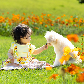 ファミリー・記念日