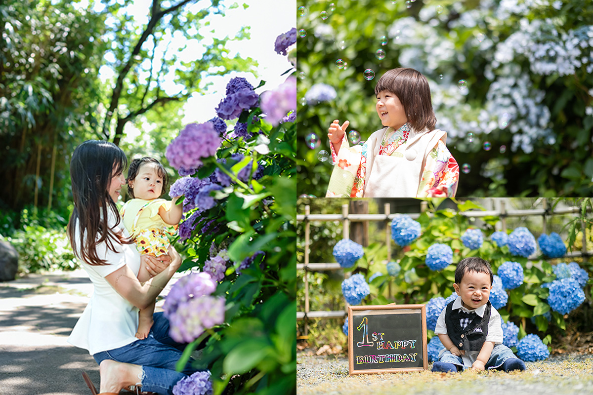 静岡県内夏キャンペーン 第一弾「紫陽花ロケーション撮影」