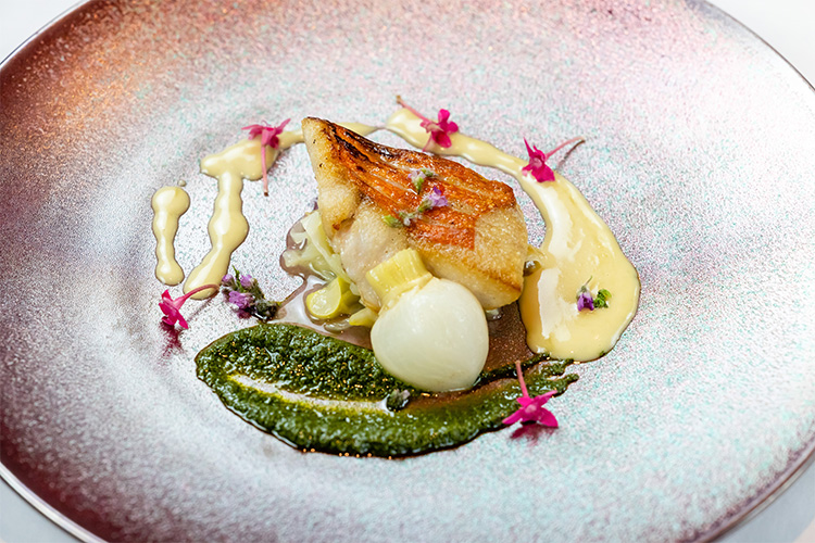 料理・物撮り|商業撮影メニュー