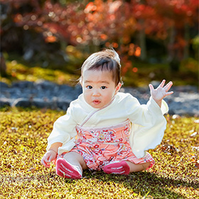 静岡県おすすめフォトスポット（玉露の里）